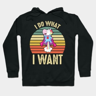 I do what i want Hoodie